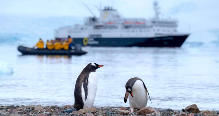 Zwei Pinguine an einer felsigen Küste mit einem Schiff und Eisbergen im Hintergrund.