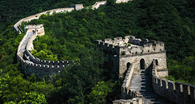 La Grande Muraille de Chine entourée d'une végétation luxuriante.