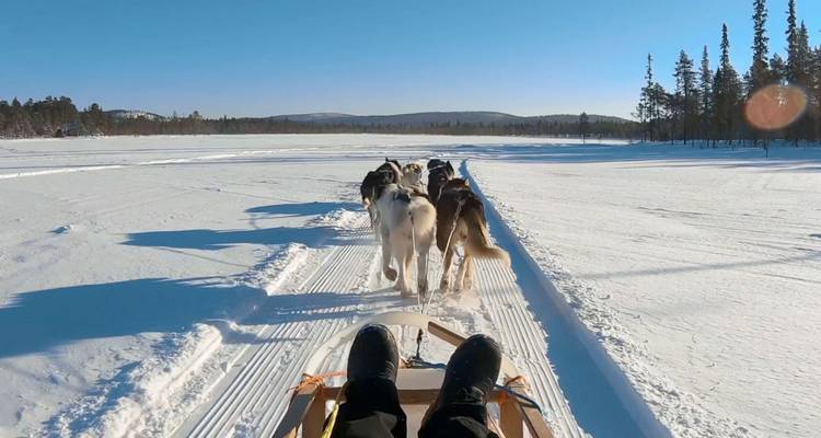 View from a sled being pulled by huskies across a snowy landscape.