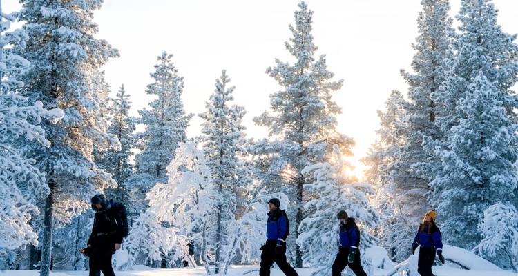 Des personnes vêtues d'équipement de neige marchant à travers une forêt enneigée.