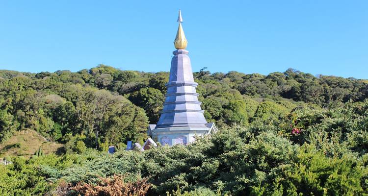 Traditional pagoda surrounded by green forest.