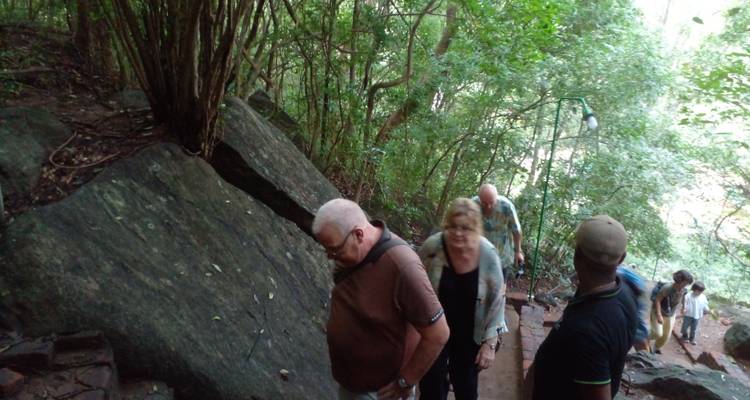 Groupe de personnes marchant sur un sentier à travers la forêt.