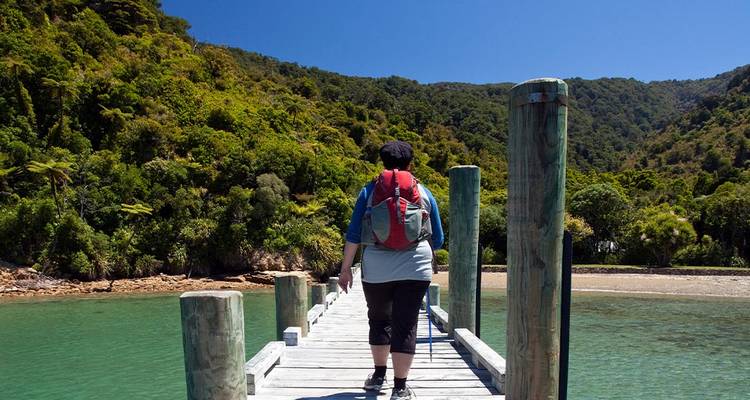 Person walking on a wooden dock towards a green hilly landscape.
