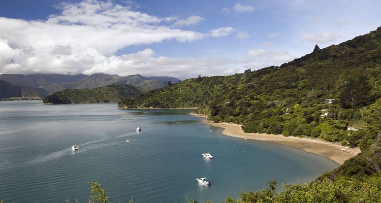 Coastal landscape with forested hills and several boats in a bay.