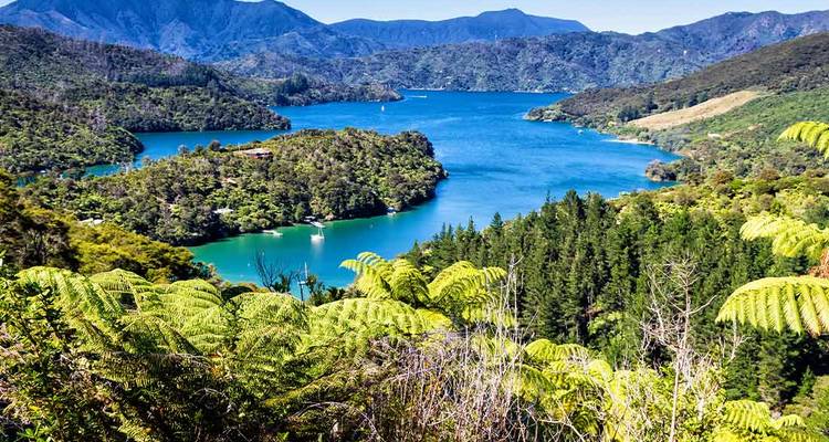 Scenic view of forested hills and waterways in a valley.