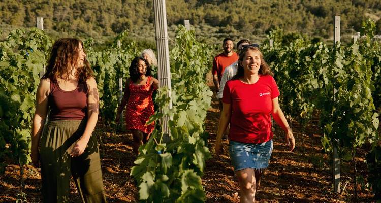 Petit groupe marchant entre les rangées de vignes sous le chaud soleil de fin de journée.