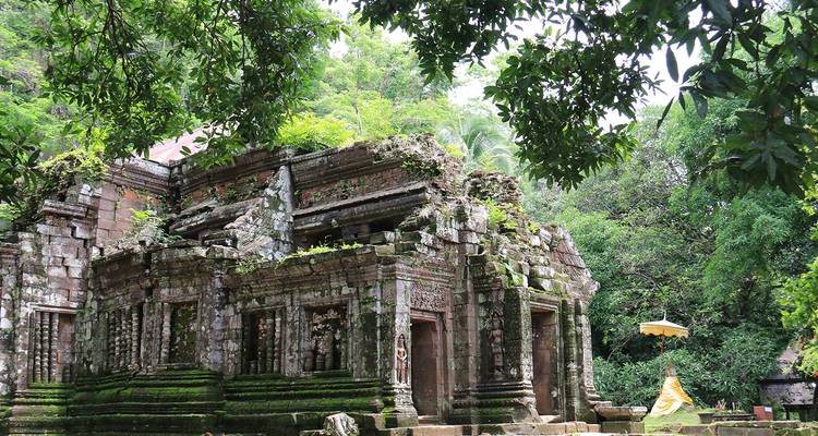 Ruines antiques d'un temple couvert de mousse dans une zone forestière.