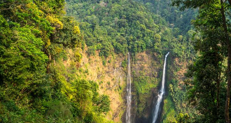 Hautes chutes d'eau entourées d'une forêt dense.