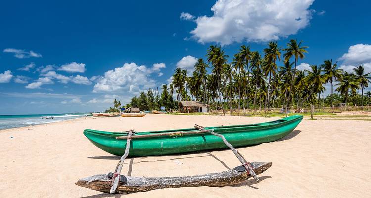 Zonnig tropisch strand met een groene uitlegger kano op wit zand en hoge palmbomen