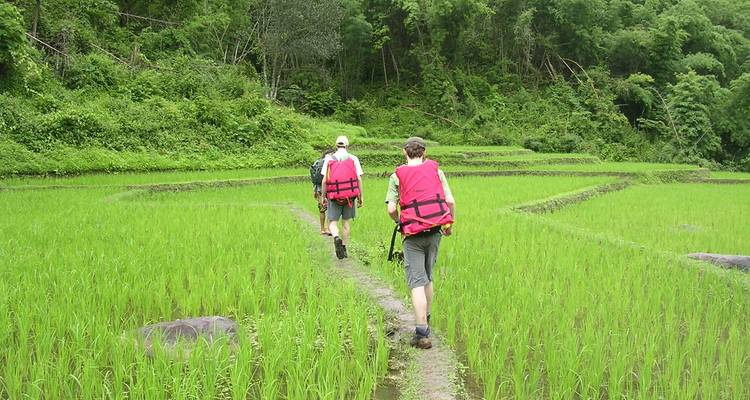 Backpackers trekken achter elkaar aan smalle paden door felgroene rijstvelden.
