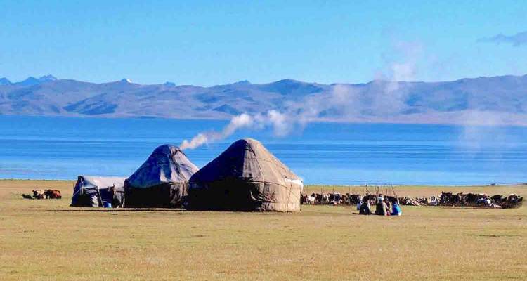 Yourtes et bétail près d'un lac avec des montagnes en arrière-plan.