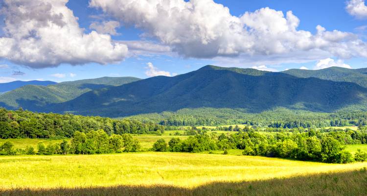 Vacances à Nashville et dans les Smoky Mountains avec Gatlinburg et Asheville (de Nashville, TN à Asheville, NC) (2026) - Collette 4