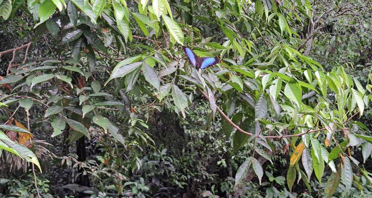 8 Days - 360° Deep into Cuyabeno - Responsible Travel South America 5