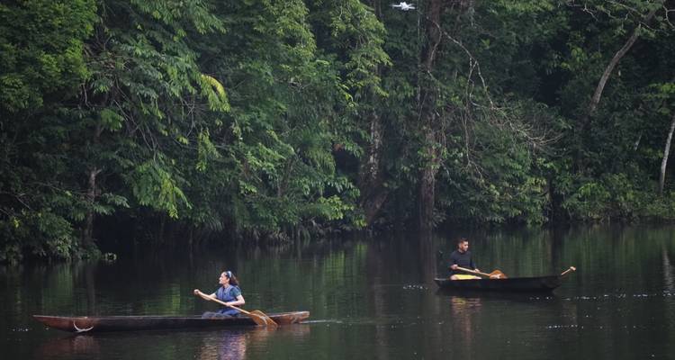 Twee mensen die dugout kano's peddelen op een stille junglerivier omgeven door dicht bos