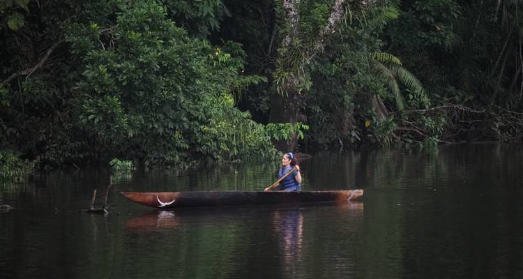 Un pagayeur solitaire navigue un canoë en bois le long d'une végétation amazonienne dense.