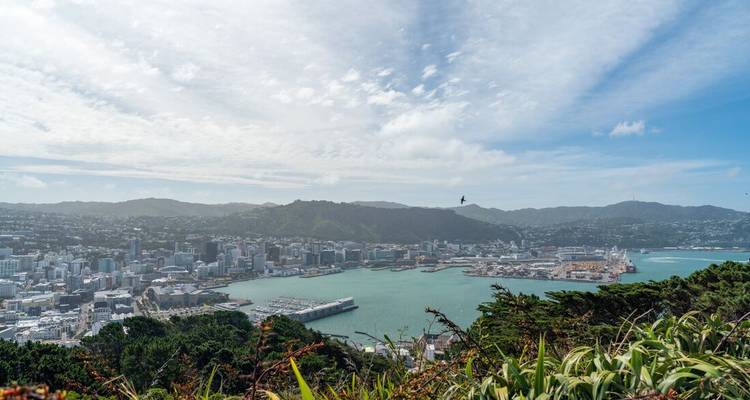 Panoramic view over a coastal city and harbour surrounded by green hills under a bright blue sky with light clouds.