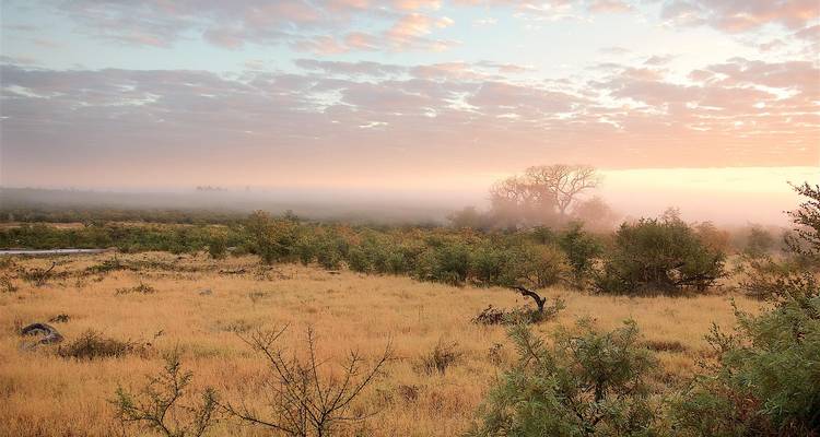 Misty morning landscape with trees and fields.