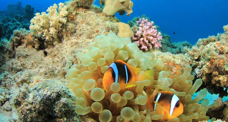 7 Days Classic Philippines With Boracay Small Group Tour (Max 8) - UME Travel Co. Ltd 4