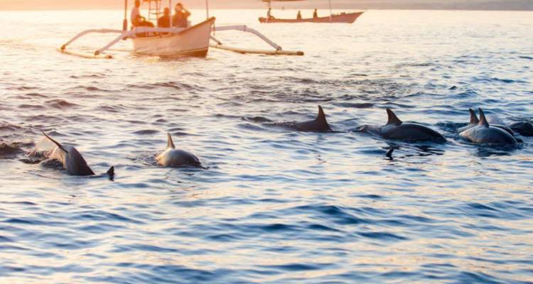 7 Days Classic Philippines With Boracay Small Group Tour (Max 8) - UME Travel Co. Ltd 10