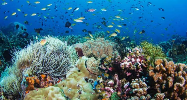 7 Days Best of Palawan Small Group Tour (Max 8) - UME Travel Co. Ltd 7