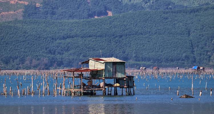A solitary elevated shack on the water with wooden stakes around.