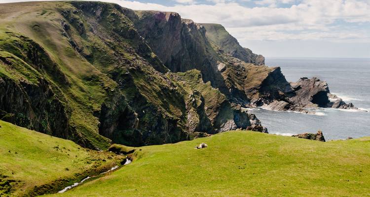 Falaises spectaculaires et vue sur l'océan avec collines verdoyantes.