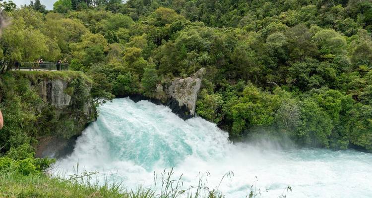 A powerful waterfall in a lush green forest.