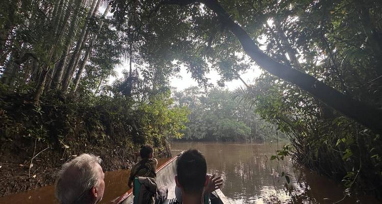 Mensen in een kano op een junglerivier onder een bladerdak van bomen.