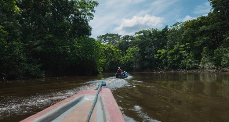 Un bateau naviguant sur une rivière de jungle.