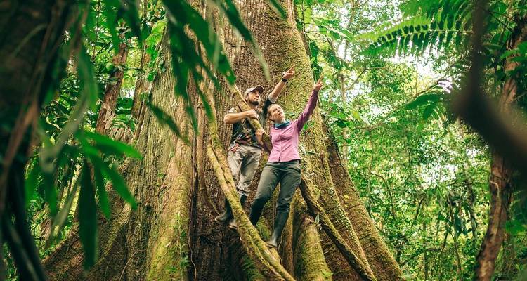 Deux personnes explorant un grand arbre dans la jungle.