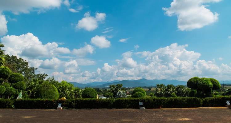 A garden view with topiary sculptures and mountains in the background.