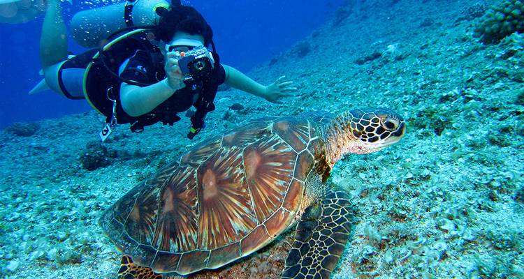Circuit en petit groupe de 9 jours aux Philippines (Max 8) - UME Travel Co. Ltd 3