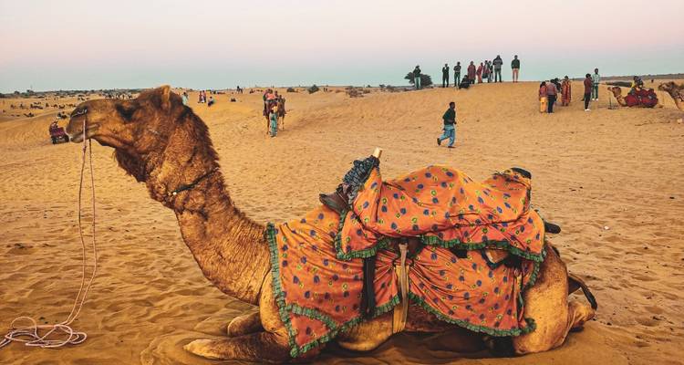 Chameau se reposant dans un désert avec des gens en arrière-plan.