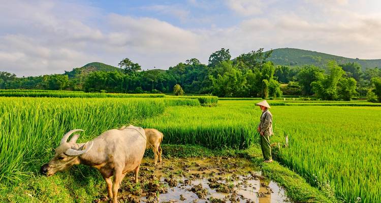 12 Days in Laos & Cambodia – Temples, Traditions & Scenic Landscapes - East Gate Tours LTD 3