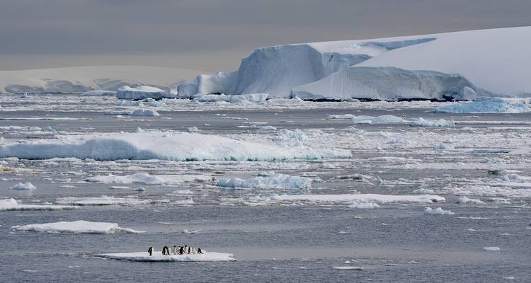 Antarctica Air Cruise Express - Trips SouthAmerica 6