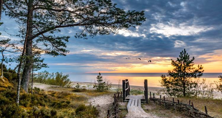 Houten boardwalk leidt naar een rustig Baltisch strand bij een kleurrijke zonsondergang met vogels in vlucht.
