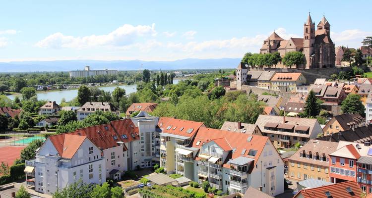 Vue de Breisach avec une cathédrale dominant la ville et la rivière.