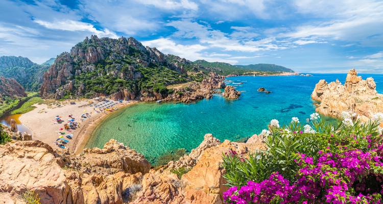 Colorful beach setting with vibrant flora and calm waters.