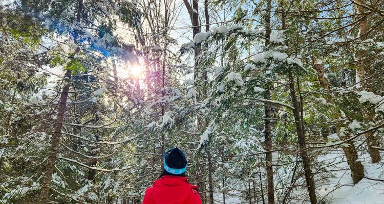 Personne en manteau rouge marchant dans une forêt enneigée avec les rayons du soleil qui percent à travers les arbres.
