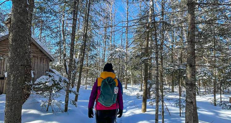 Personne faisant de la randonnée dans une forêt enneigée avec un sac à dos.