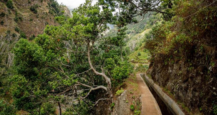Madeira - The Pearl of the Atlantic - Funchal - Just You 9