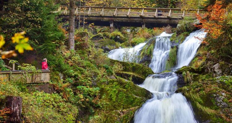 Cascade entourée de verdure et de rochers.