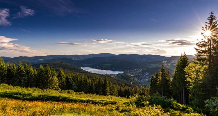 Vue aérienne d'un lac entouré de forêts et de montagnes.