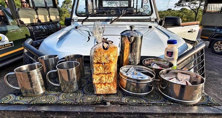 Safari voertuig motorkap gedekt voor bush koffie met mokken, snacks en thermosfles; jeep en gids op de achtergrond.