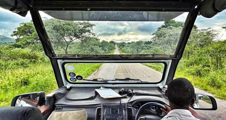 Uitzicht vanuit passagiersstoel van safarijep die over een lange rechte weg door weelderig parklandschap rijdt.