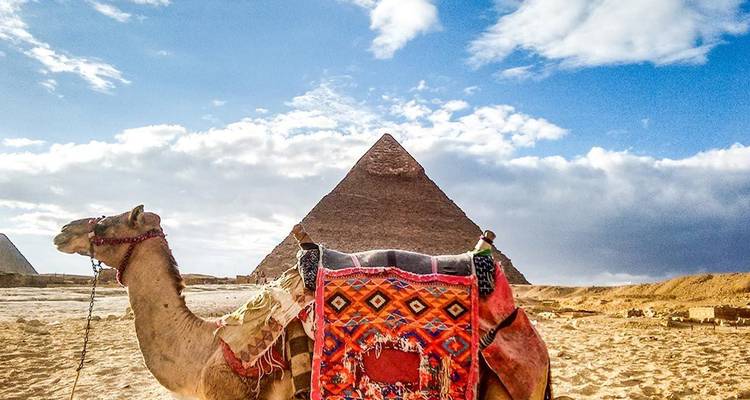 Luxe à travers les âges 10 jours (Pyramides, Sphinx, Gem, Fayoum Oasis, Assouan et Louxor, croisière sur le Nil, Abou Simbel, Alexandrie) - Travel Chance Egypt 7
