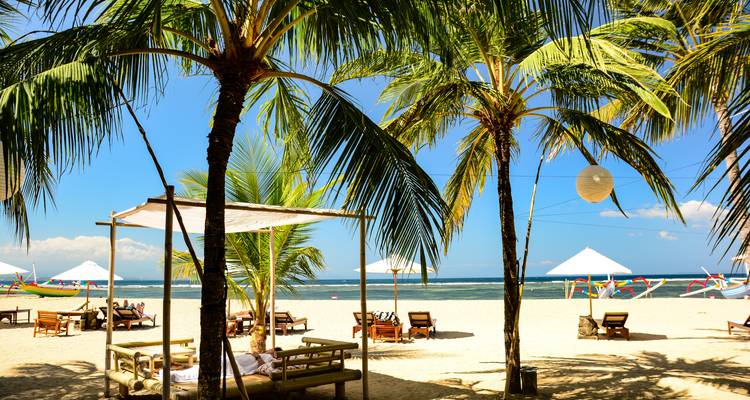 Palmeras en una playa soleada con tumbonas.