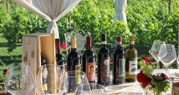Selection of wine bottles with a vineyard visible in the background.