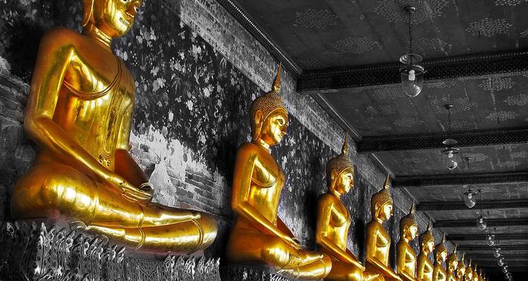 Statues dorées de Bouddhas assis dans un temple.