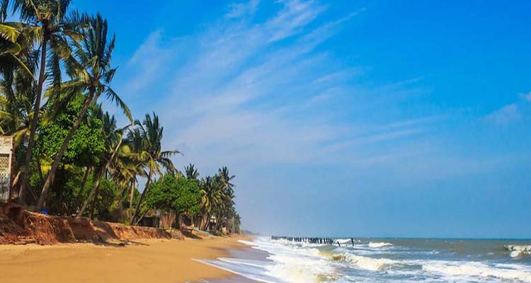 Sandy beach with palm trees and blue sky.